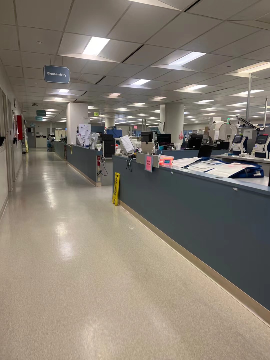 A hospital laboratory workspace stretching under rows of ceiling lights.